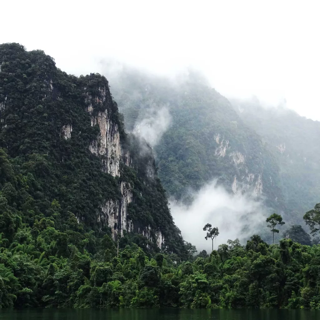5 Reasons Why Khao Sok National Park Is A Dream Destination For Explorer 31 Cheow Lan Lake Khao Sok National Park Rain forest