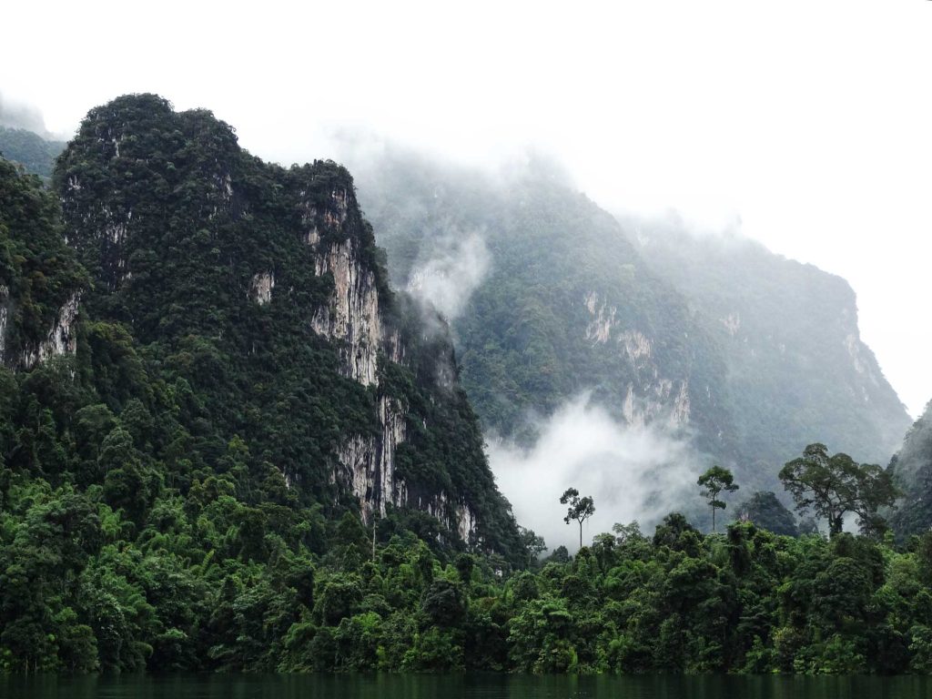 5 Gründe, Warum Der Khao Sok Nationalpark Ein Traumziel Für Entdecker Ist - Khao Sok Nationalpark Regenwald Khao Sok Nationalpark Regenwald