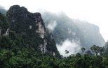 Cheow Lan Lake Khao Sok National Park Rain forest
