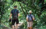 Khao Sok Jungle Trekking – Discover the Magic of the Rainforest