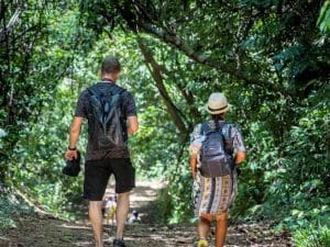 Khao Sok Jungle Trekking