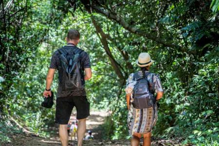 Khao Sok Jungle Trek – discover the magic of the rainforest