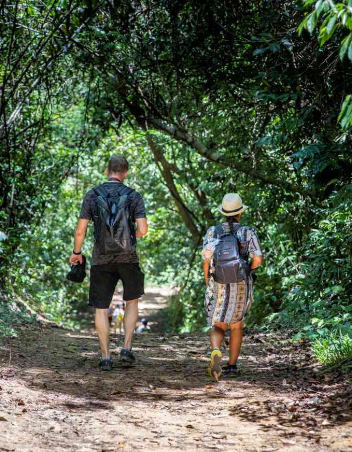 Khao Sok Jungle Trek – discover the magic of the rainforest