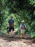 Khao Sok National Park Jungle Trekking – Discover the Rainforest