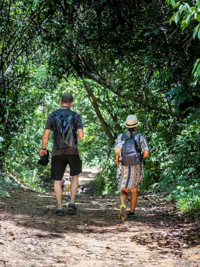 Khao Sok National Park Jungle Trekking – Discover the Rainforest