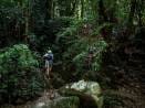 Khao Sok Jungle hiking