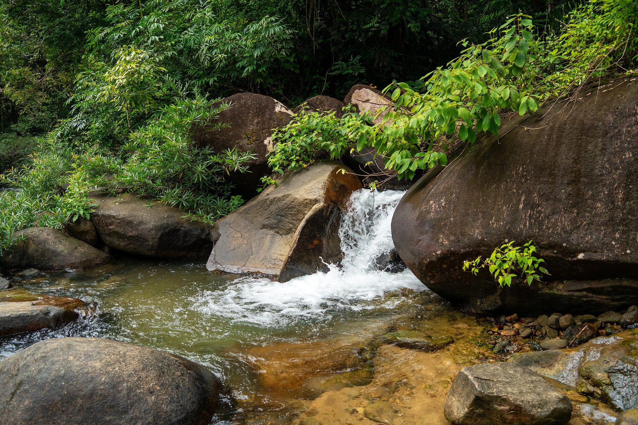 Small waterfall cascading between boulders on a rainforest stream in Khao Sok National Park