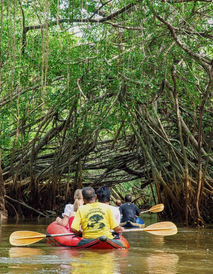 Little Amazon Khao Lak: Takua Pa Old Town Boat Tour