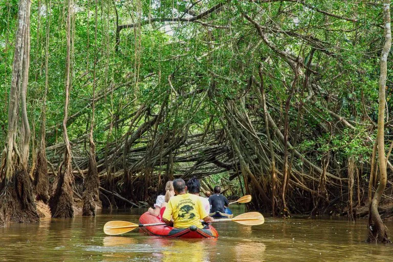 Kleiner Amazonas Khao Lak und Takua Pa Altstadt – Eine faszinierende Reise durch Zeit und Natur