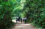 Jungle trekking at Khao Sok National Park