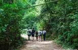 Jungle trekking at Khao Sok National Park