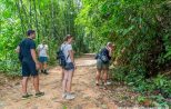 Khao Sok Jungle trekking