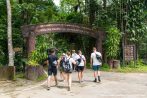 Khao Sok Jungle Trekking
