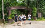 Khao Sok Jungle Trekking