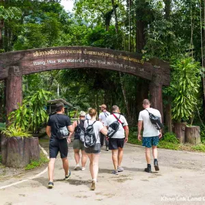 Khao Sok Jungle Trekking