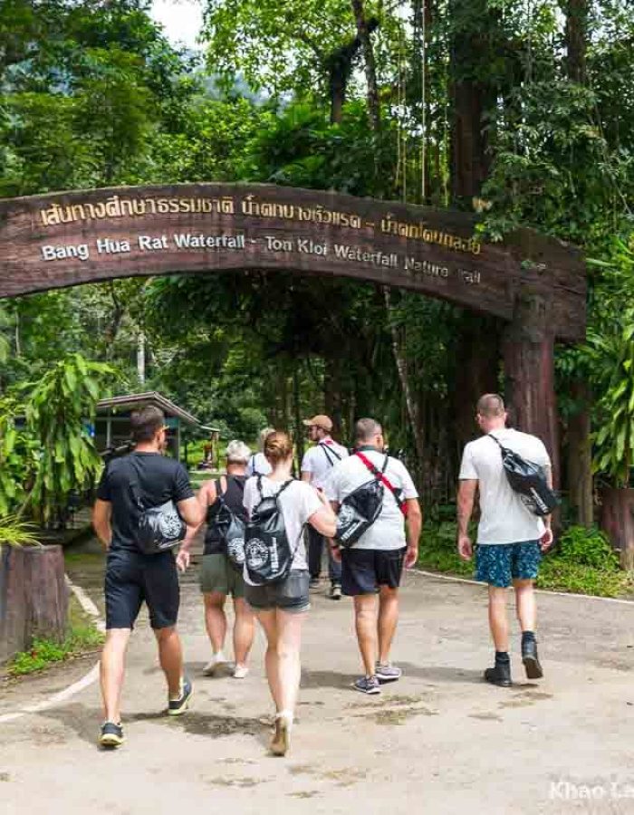 Khao Sok Dschungel Trekking- Entdecke die Magie des Regenwaldes