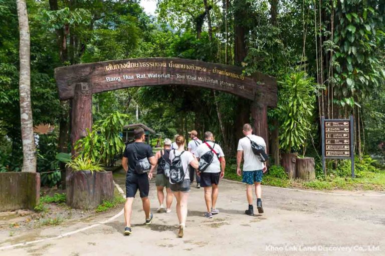 Khao Sok Dschungel Trekking – Entdecke die Magie des Regenwaldes