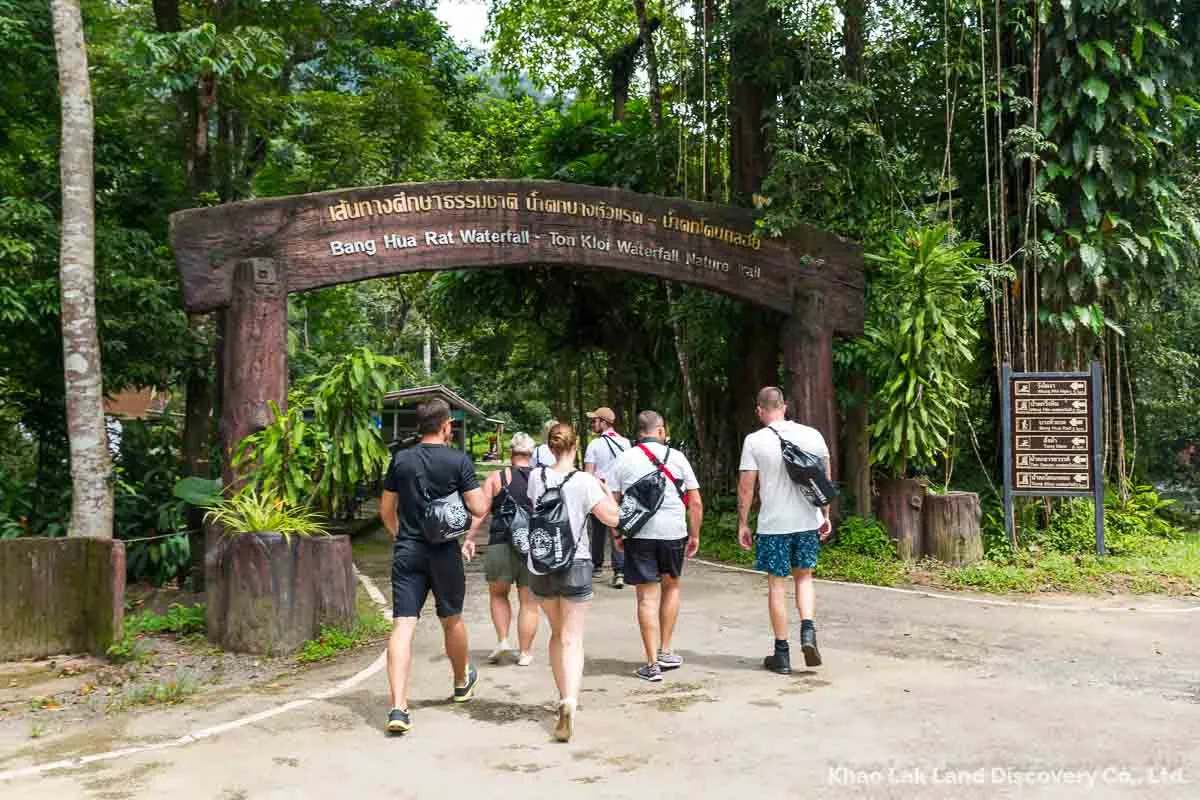 Khao Sok Dschungel Trekking- Entdecke Die Magie Des Regenwaldes - Khao Sok Jungle Trekking At Nationalpark Khao Sok Dschungel Trekking