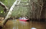 Little Amazon Khao Lak: Takua Pa Old Town Boat Tour