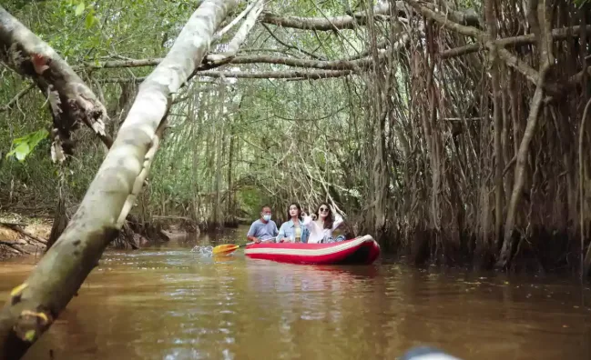 Takua Pa Old Town And Little Amazon - Klong Sang Nae
