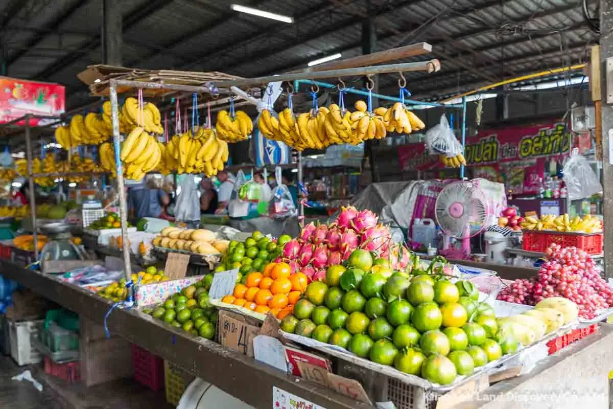 <span>TAG 1</span> Kurzer Halt am Takua Pa Morgen Markt
