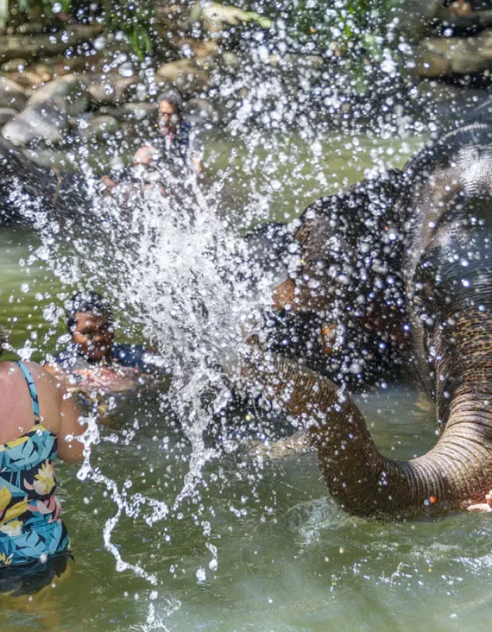 Khao Lak Elephant Sanctuary — Ethical Elephant Bath & Care