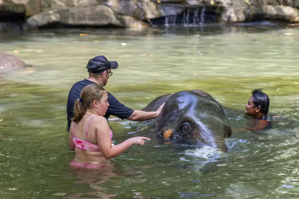 Khao Lak Elefanten Baden
