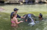Elefanten Baden Khao Lak – Ethische Tierschutz-Halbtagestour