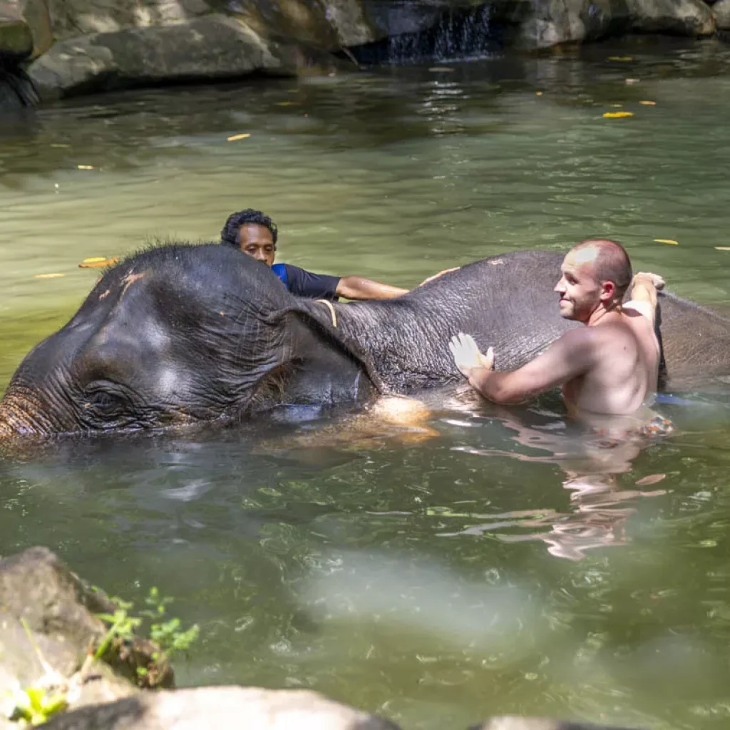 Khao Lak Natursafari mit Elefantenbaden