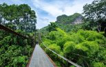 Suspension-Bridge,-Klong-Phasaeng---Khao-Heart