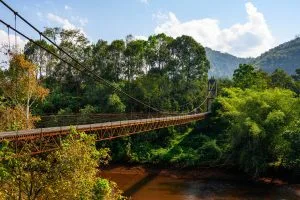 Suspension bridge spanning a jungle river near Cheow Lan Lake, Khao Sok