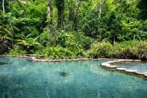 Crystal-clear turquoise spring pool with stepping stones at Ban Nam Rad watershed forest near Khao Sok