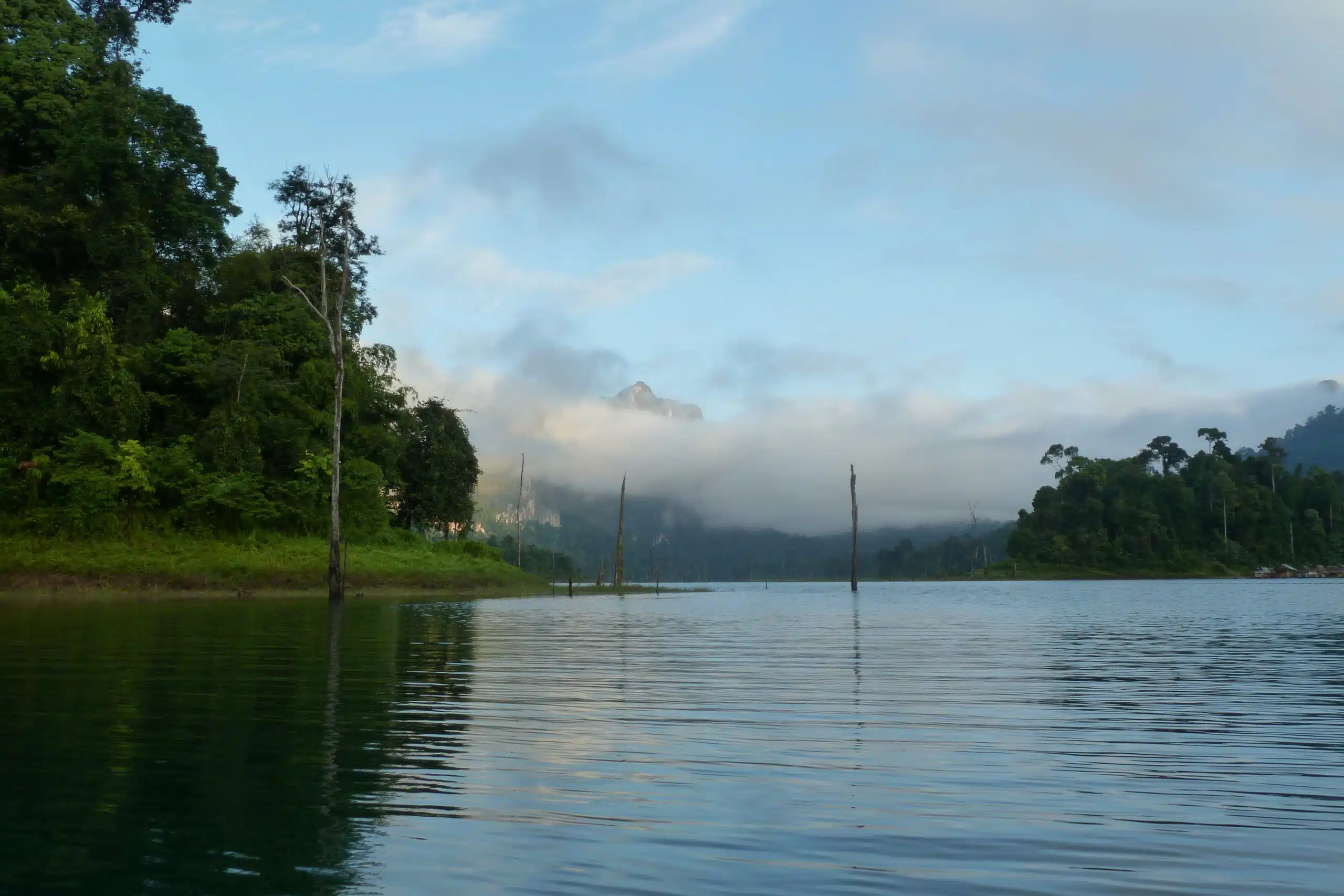 Emerald lake surrounded by limestone karsts in Khao Sok