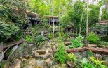Spend the night at Rock and Tree House Resort Khao Sok