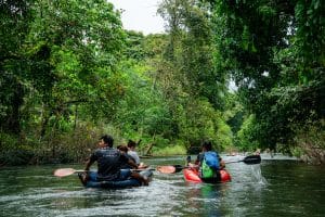 Gäste paddeln mit Kanus den dschungelgesäumten Sok-Fluss in Khao Sok hinab