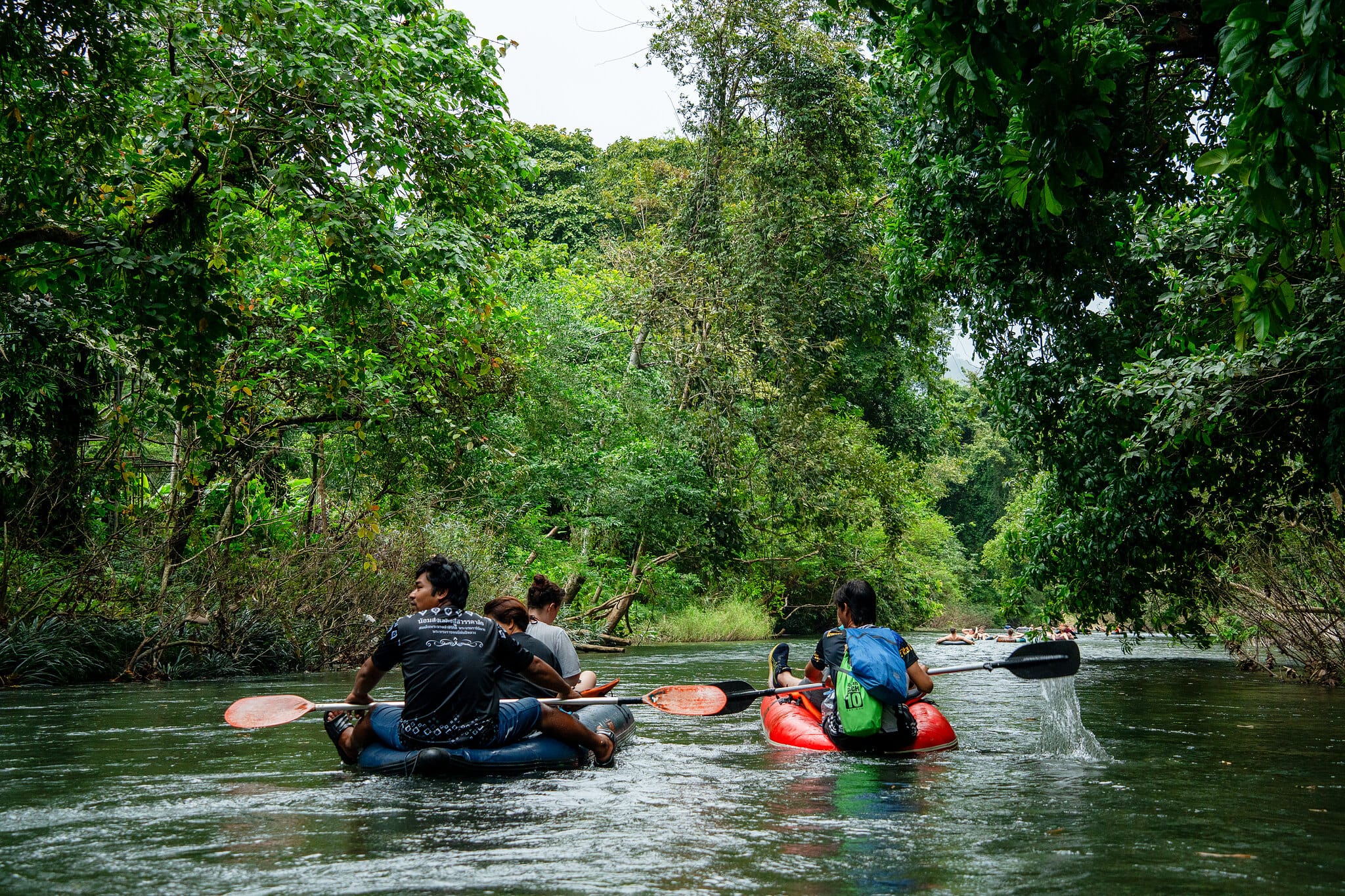 Gäste paddeln mit Kanus den dschungelgesäumten Sok-Fluss in Khao Sok hinab