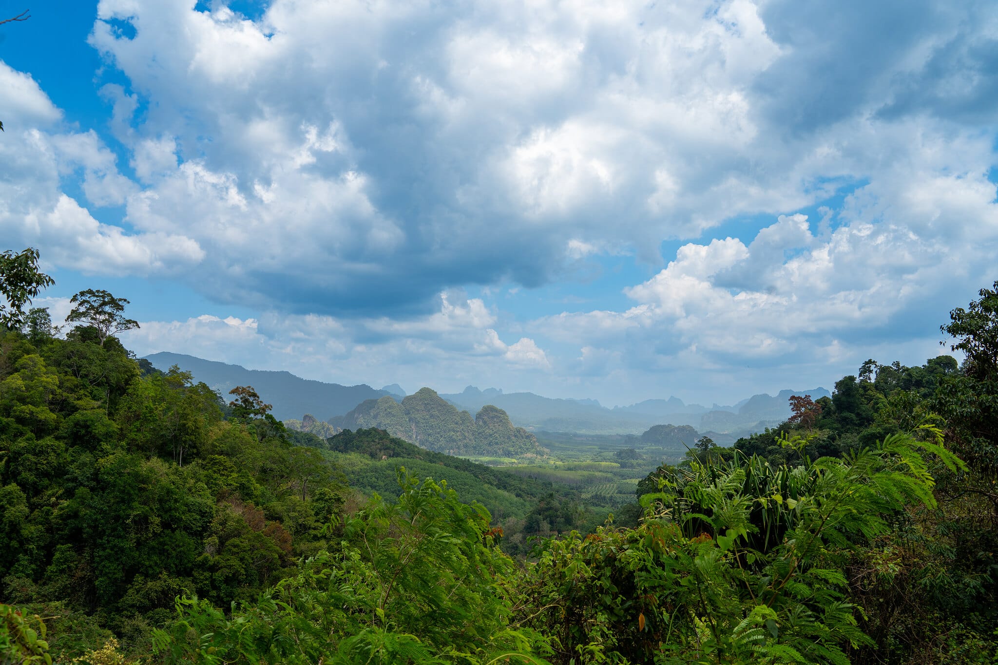 Panoramablick über die Regenwaldhügel und Kalksteingipfel des Khao-Sok-Nationalparks