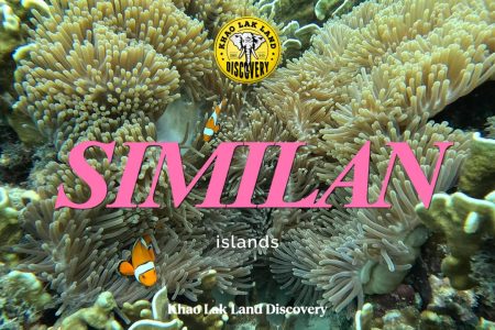 Things to Do on the Similan Islands: Complete 2026 Guide