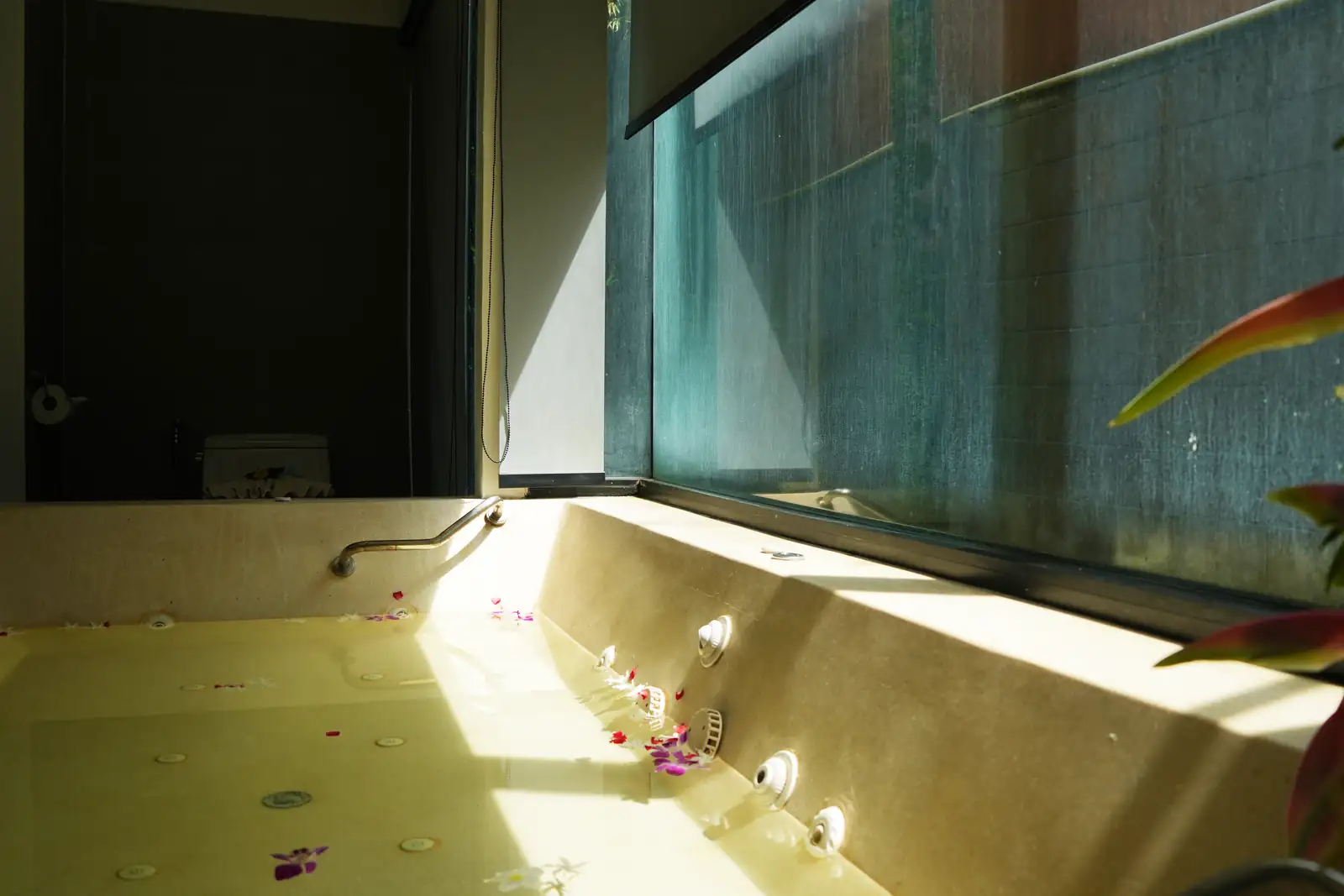 Khao Lak Tropical Villas private pool villa 19