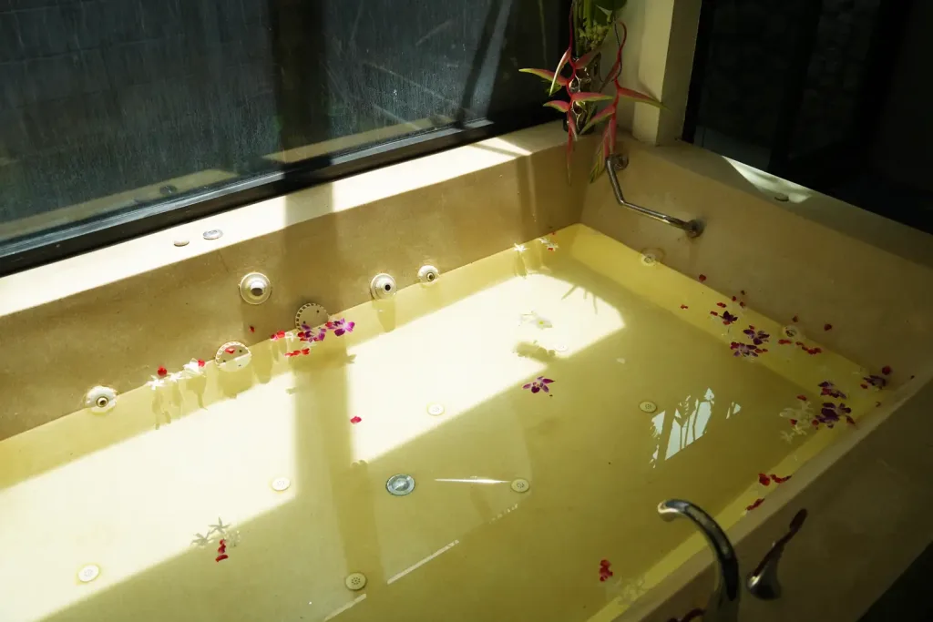 Sunlit soaking tub scattered with flower petals