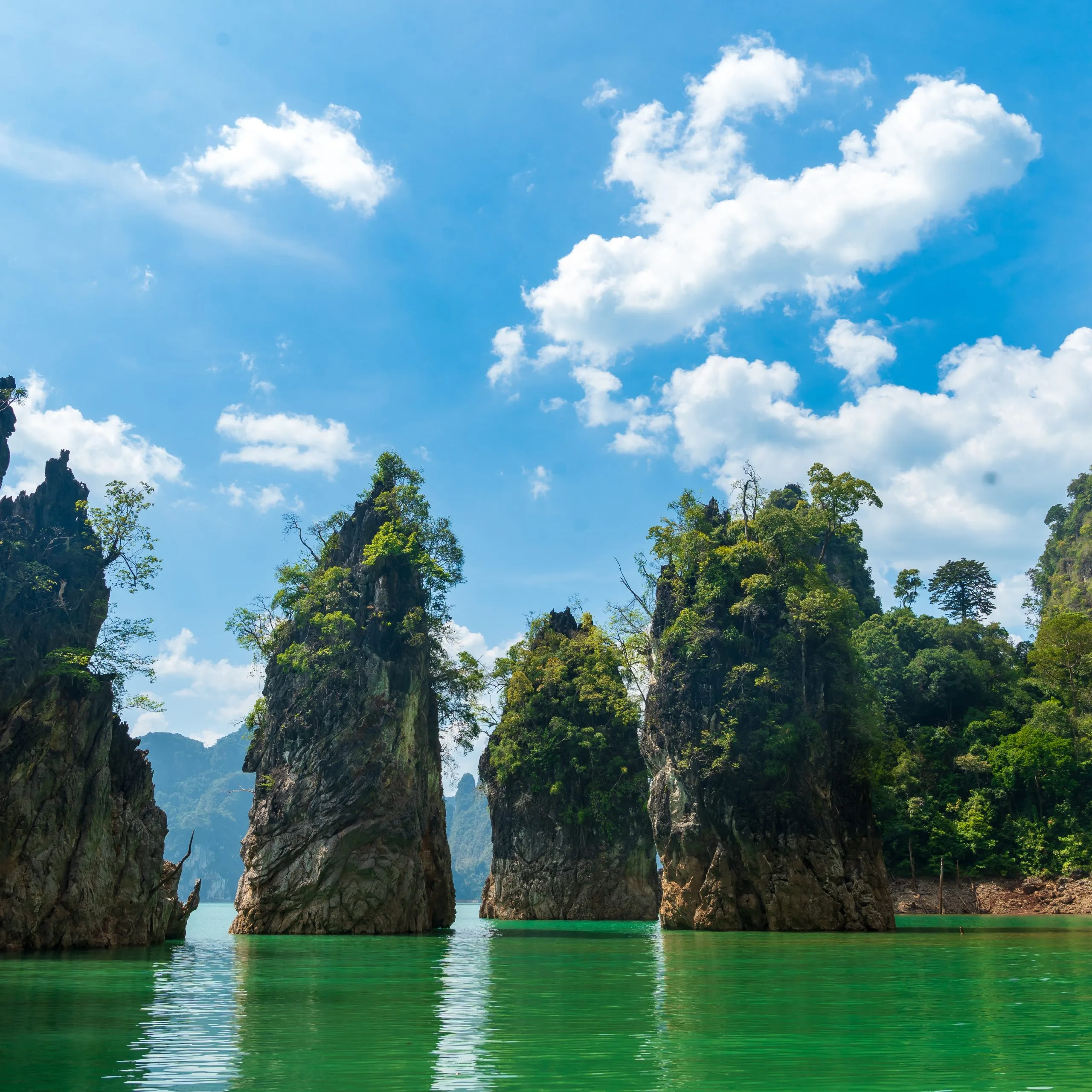 The three iconic limestone pinnacles rising straight out of the green water of Cheow Lan Lake in Khao Sok National Park