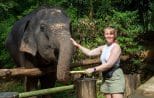 A visitor hand feeds an elephant from a basket of fruit at the ethical elephant camp near Khao Lak