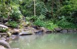 The clear natural jungle pool where elephants bathe each day at the Khao Lak elephant sanctuary