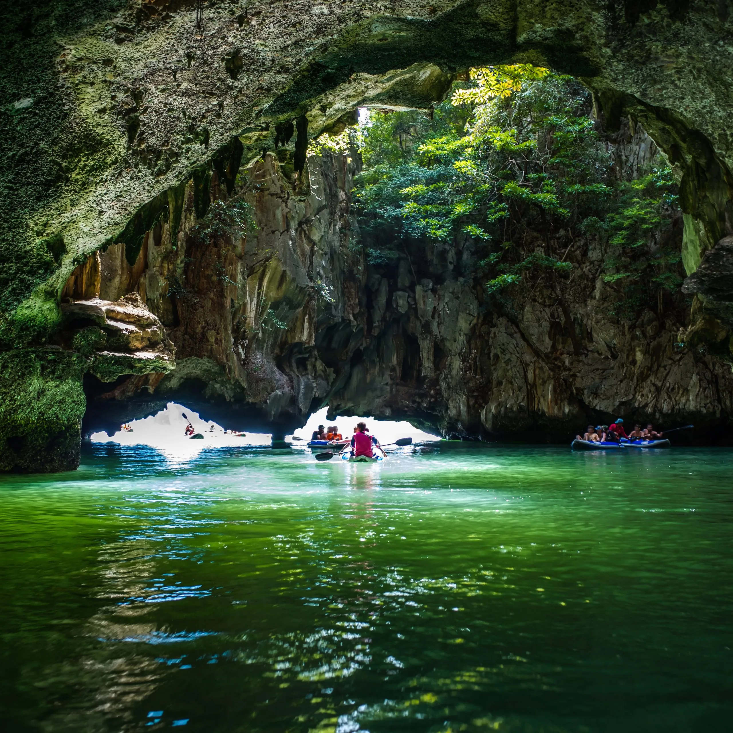 Canoes drift through a vast sea cave opening onto green water at Hong Island in Phang Nga Bay.