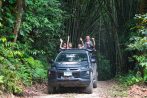 The off-road 4x4 climbs a dirt track through towering bamboo forest on the Khao Lak jungle safari