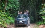 The off-road 4x4 climbs a dirt track through towering bamboo forest on the Khao Lak jungle safari