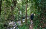 A guest treks a narrow forest path beside a clear jungle stream on the Khao Lak off-road safari