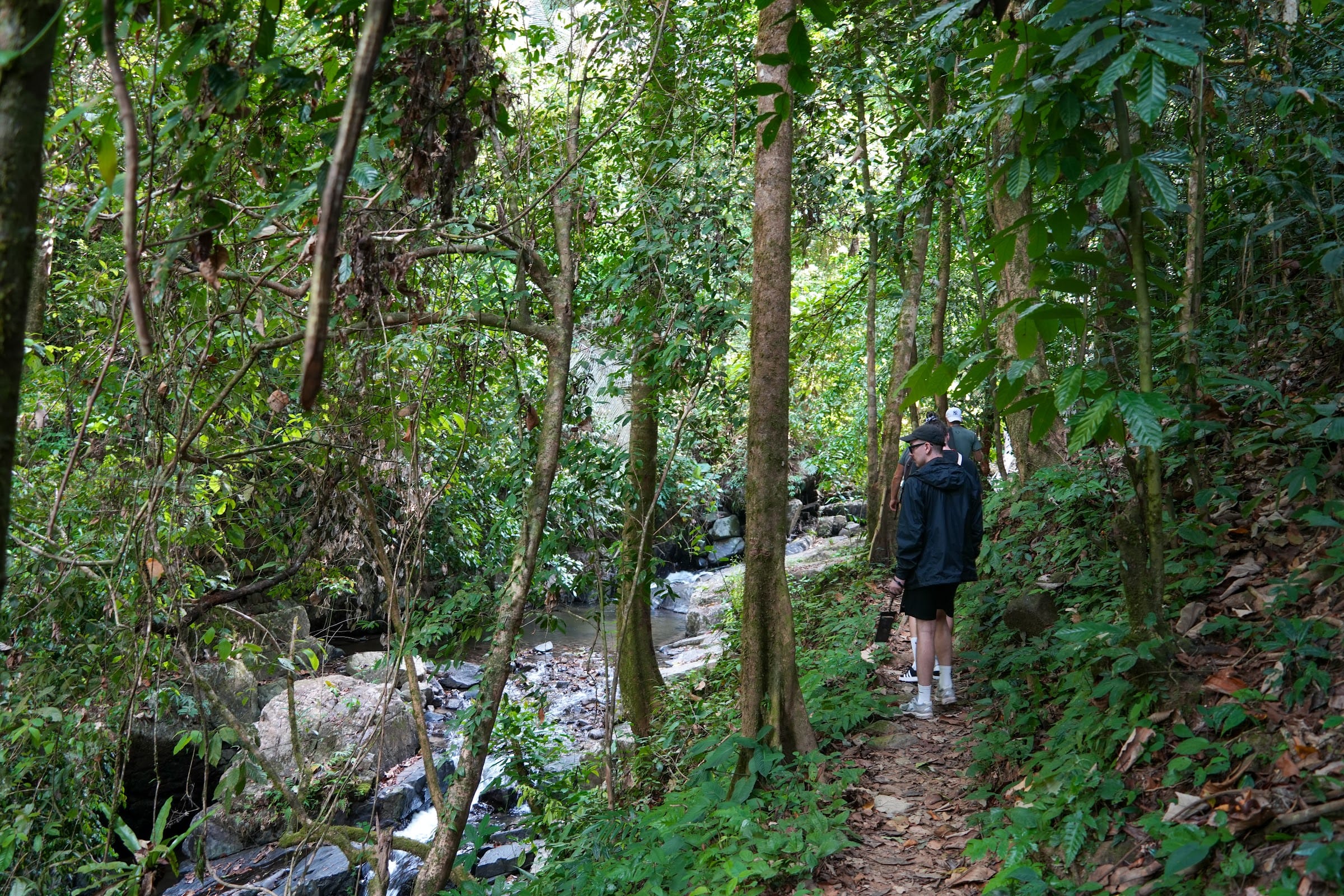A guest treks a narrow forest path beside a clear jungle stream on the Khao Lak off-road safari
