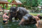Two elephants lie in a natural pool while guests help wash them on the Khao Lak safari day tour