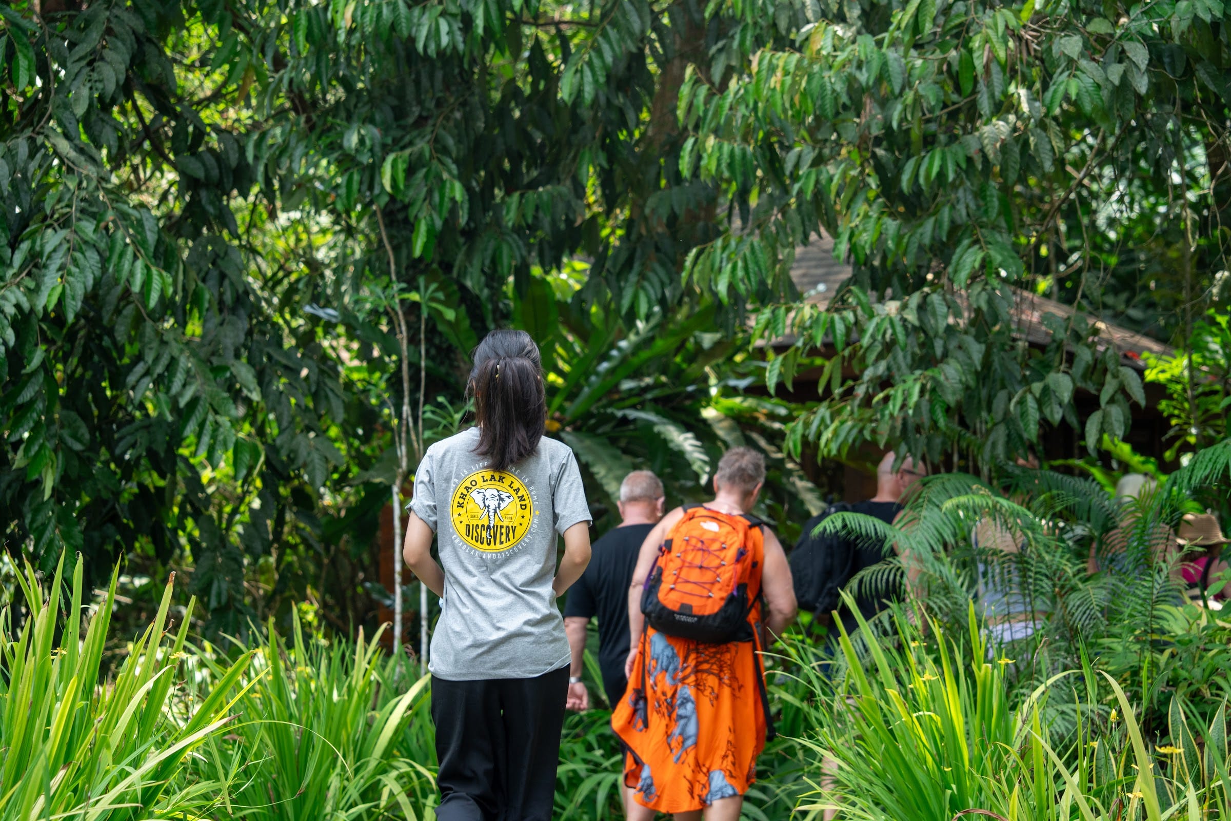 A small group follows their guide along a shaded rainforest trail in Khao Lak national park